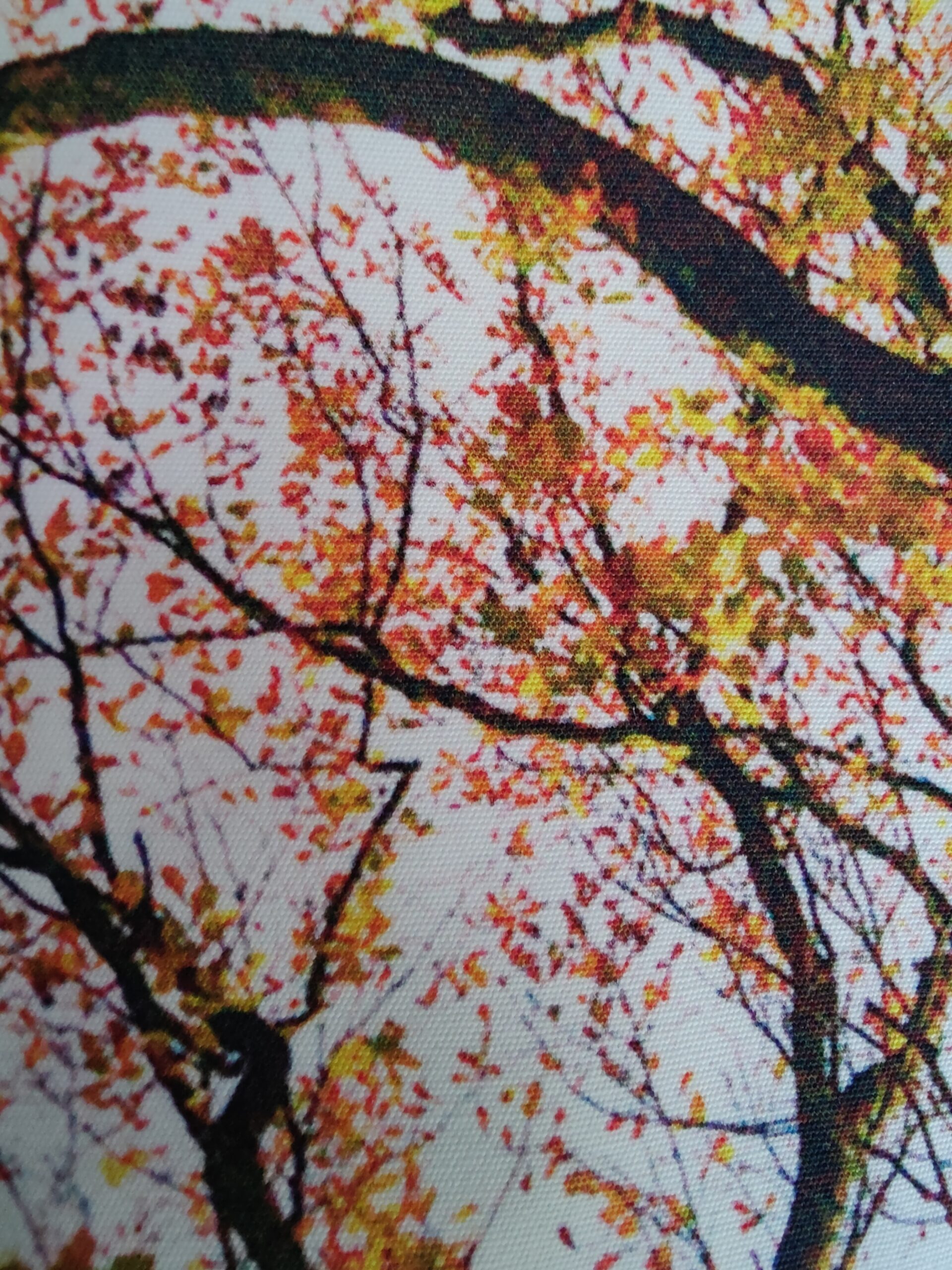 Toile de coton